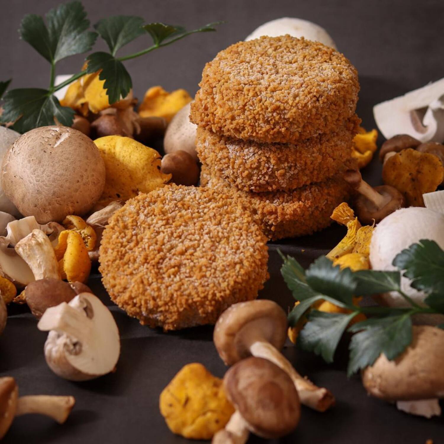 FLX BURGER PADDENSTOELEN  33x90gr